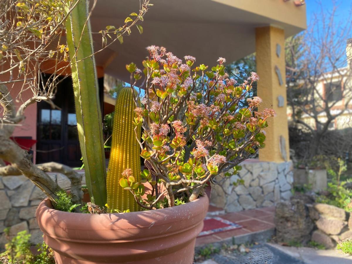 Lovely Home 5 Min Walk To The Beach, 3 Bedrooms Ample Outdoor Relax And Wifi Capitana Ngoại thất bức ảnh